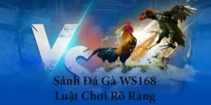 Tìm Hiểu Cách Chơi Đá Gà WS168 Tại Win88 Hấp Dẫn Nhất
