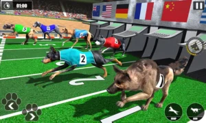 Cách Chơi Game Nhanh Đua Chó Tại Win88 Để Thắng Cược Dễ Dàng