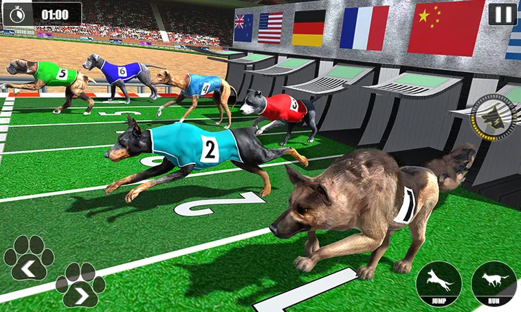 Cách Chơi Game Nhanh Đua Chó Tại Win88 Để Thắng Cược Dễ Dàng