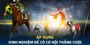 Tìm Hiểu Cá Cược Thể Thao Ảo Win88 Đầy Kịch Tính Và Hấp Dẫn